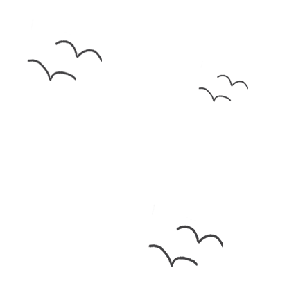 pajaros