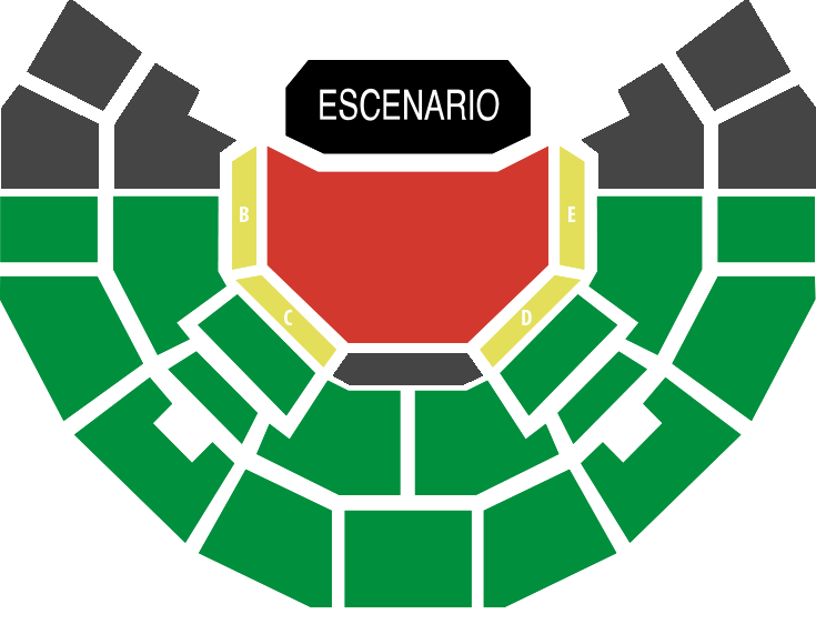 Teatro Caupolicán | 3 de diciembre 2019
